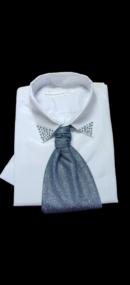 Long Sleeve shirt , rhinestone setting at tip of the collar and couple off with a blue  glitter metallic ascot tie 